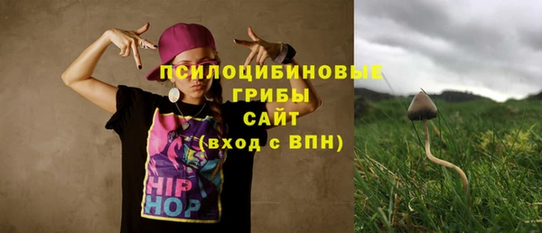 ПСИЛОЦИБИНОВЫЕ ГРИБЫ Нефтекумск