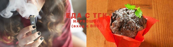 индика Калининец