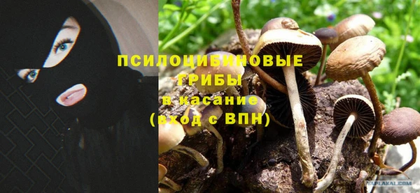 ПСИЛОЦИБИНОВЫЕ ГРИБЫ Нефтекумск