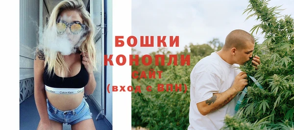2c-b Новозыбков